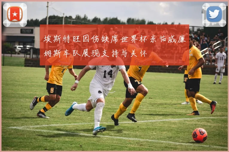 埃斯特旺因伤缺席世界杯亲临威廉姆斯车队展现支持与关怀