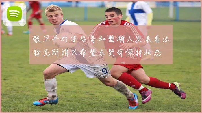 张卫平对字母哥加盟湖人发表看法称无所谓只希望东契奇保持状态