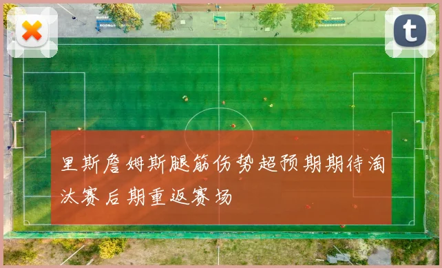 里斯詹姆斯腿筋伤势超预期期待淘汰赛后期重返赛场